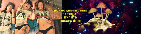 шишки Саяногорск