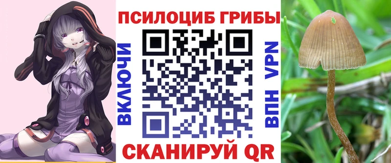 купить  сайты  Невель  Галлюциногенные грибы Magic Shrooms 
